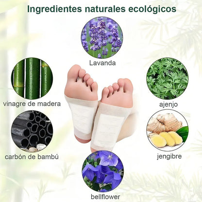 PARCHES KINOKI DETOX